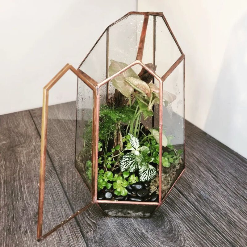 Individuelle Anfrage