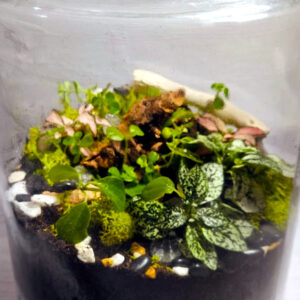 Alternative view of Flaschengarten "Rooted Center"