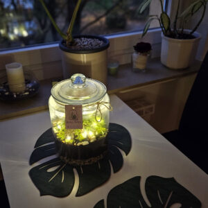 Flaschengarten "Rooted Center"